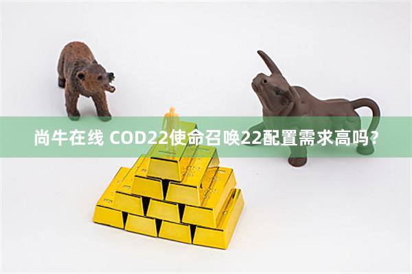 尚牛在线 COD22使命召唤22配置需求高吗？