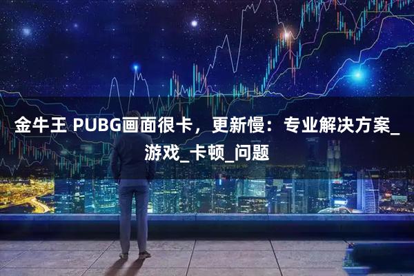 金牛王 PUBG画面很卡,更新慢:专业解决方案_游戏_卡顿_问题