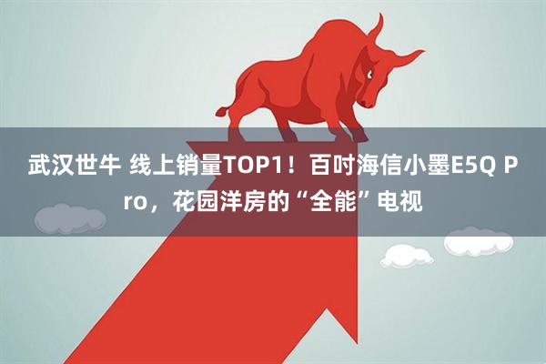 武汉世牛 线上销量TOP1！百吋海信小墨E5Q Pro，花园洋房的“全能”电视